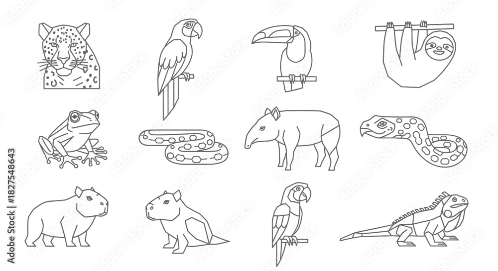 Naklejka premium Outlined illustrations of various jungle animals, showcasing diverse species in a simple line art style.
