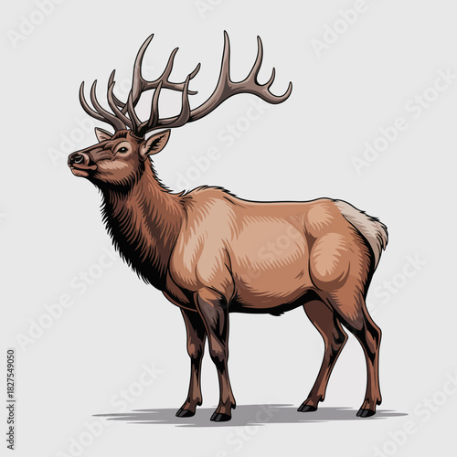 A beautifully illustrated deer stands proudly, showcasing its impressive antlers, symbolizing strength and grace in the natural world and wildlife conservation.