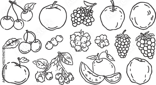 A collection of hand-drawn fruit illustrations, including apples, grapes, cherries, and other delicious, fresh produce in a simple, artistic style.