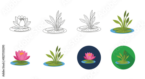 A diverse set of vector illustrations featuring various aquatic plants, including vibrant water lilies and green pond reeds, presented in outline, flat, and icon styles.