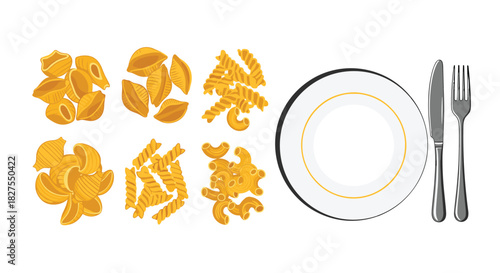An assortment of dry pasta varieties such as conchiglie, fusilli, and macaroni, neatly arranged next to a white dinner plate with cutlery, ready for cooking.
