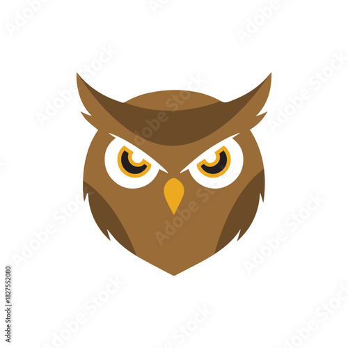 owl on white background