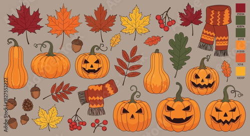 Autumn harvest set with pumpkins, leaves, scarf and rowan berries for design