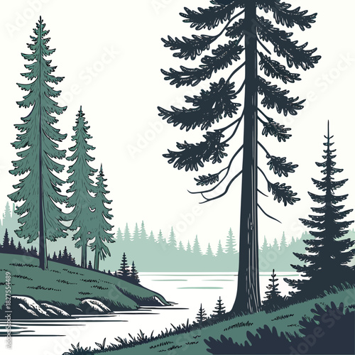 Serene forest landscape with tall evergreen trees lining a calm lake shore under a pale sky