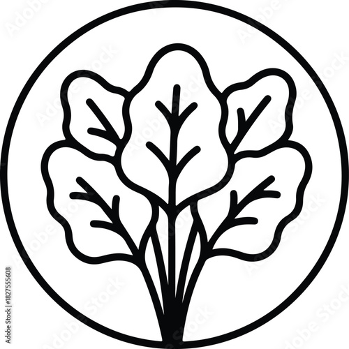 Silhouette Spinach plant in a circle line drawing vector Illustrator