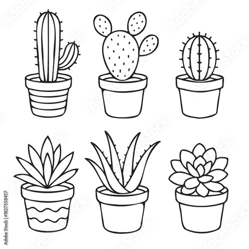 A set of six potted cacti, each with a different color and size. The cacti are arranged in a row, with some placed closer together and others spaced further apart