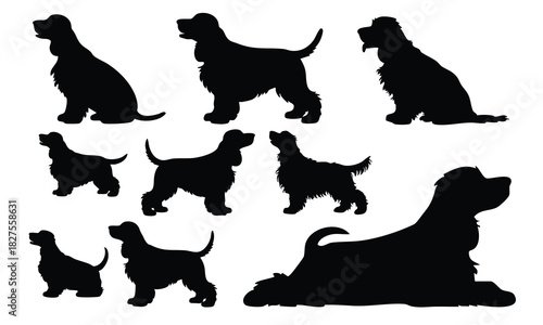 Set of Cocker Spaniel Dog Silhouettes, silhouette, Spaniel, vector
