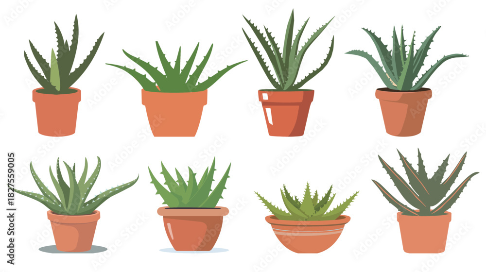 Obraz premium Flat Aloe Vera Plant in Terracotta Pot — Simple Minimalist Vector Illustration