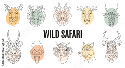 Wild safari animals heads collection, vector illustration