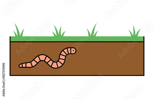 A cartoon illustration of an earthworm burrowing through a cross-section of soil with green grass on the surface.