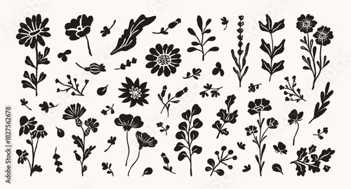 Set of abstract vector flowers hand drawn black paint. Doodle pencil, brush, chalk style.  Monochrome botanical ink drawing floral elements. Sketch silhouette daisy, aster, chrysanthemum and leaves.