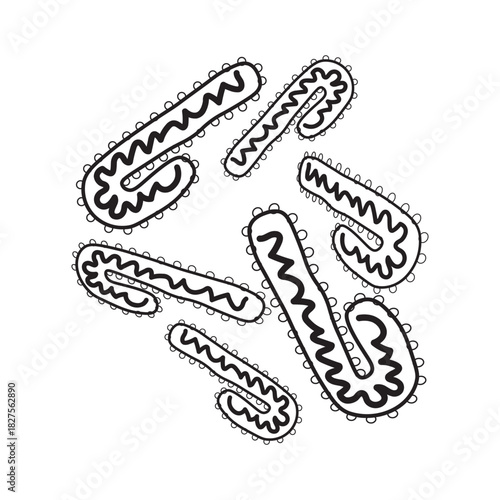 Marburg Virus line icon