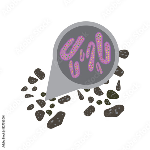 marburg virus in bat droppings