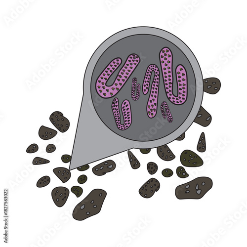 marburg virus in bat droppings