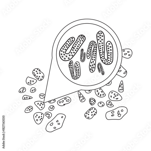 marburg virus in bat droppings line icon