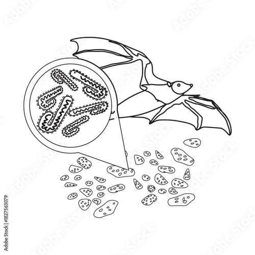 marburg virus in bat droppings line icon