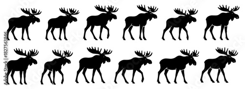 Moose silhouettes in standing and walking poses. Clean lines show high quality. The collection emphasizes large antlers and steady posture