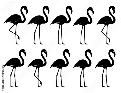 Flamingo silhouettes in standing and walking poses. Clean lines show high quality. The set showcases long legs and elegant curved necks