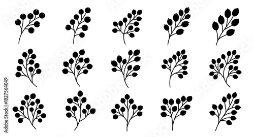 Berry silhouette collection. Shapes created with high quality. Rounded and oval fruit forms appear on detailed stems in natural arrangements