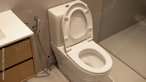 Modern Bathroom Toilet with Open Lid with Clean  Bright, and Interior Design Concept.