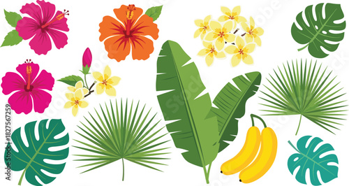Colorful tropical flowers and leaves in flat vector style, perfect for summer design, botanical themes, and decorative illustrations
