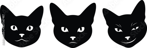 Cat expressions set isolated on white background