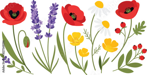Wild meadow flower set in bright flat vector illustration style, suitable for nature graphics, patterns, and spring design