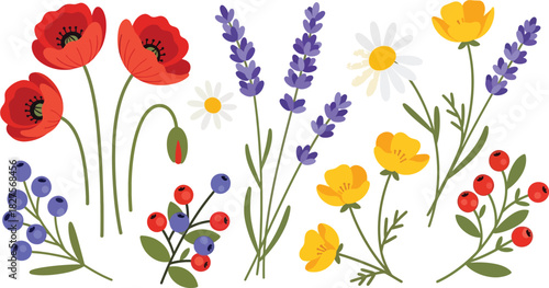 Wild meadow flower set in bright flat vector illustration style, suitable for nature graphics, patterns, and spring design
