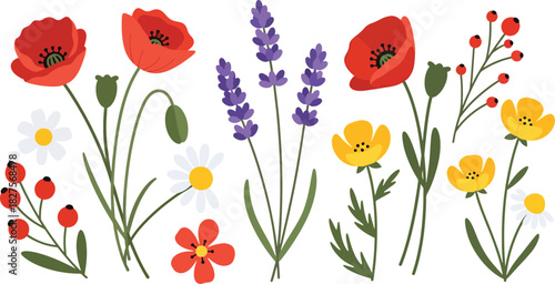 Wild meadow flower set in bright flat vector illustration style, suitable for nature graphics, patterns, and spring design