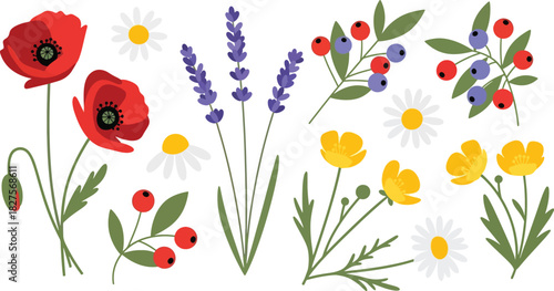 Wild meadow flower set in bright flat vector illustration style, suitable for nature graphics, patterns, and spring design