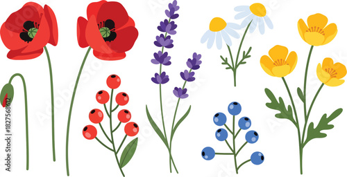 Wild meadow flower set in bright flat vector illustration style, suitable for nature graphics, patterns, and spring design
