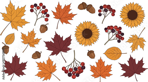 Autumn flowers and leaves in warm seasonal colors illustrated in flat vector style