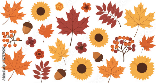 Autumn flowers and leaves in warm seasonal colors illustrated in flat vector style