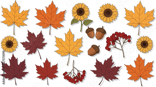 Autumn flowers and leaves in warm seasonal colors illustrated in flat vector style