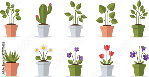 Cute houseplants and flowers in pots illustrated in flat vector style for home decor themes