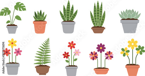 Cute houseplants and flowers in pots illustrated in flat vector style for home decor themes