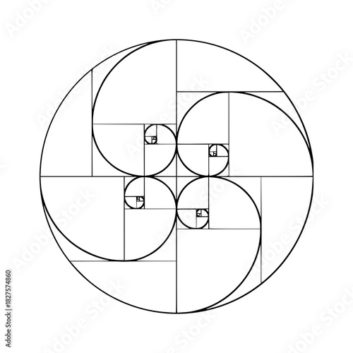 fibonacci spiral vector