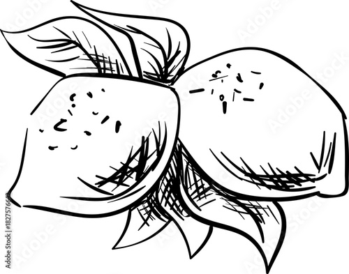 Hand-drawn Mediterranean food doodles featuring Italian pasta, cheese, and pizza. Perfect for dinner menus, picnic designs, or summer cuisine illustrations.