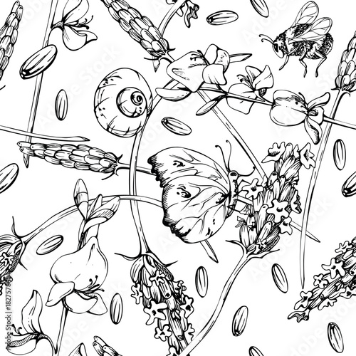 Butterflies bumblebees and garden snails on lavender lavandula flower stalks seeds seamless pattern. Isolated illustration hand drawn in vector ink. Skincare decor, aromatherapy product wrap, planners