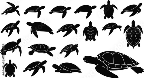 WebLarge collection of various turtle and tortoise silhouettes, including sea turtles and land turtles in different poses and angles, isolated on a white background.