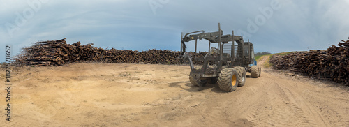 Heavy Machinery in an Empty Lumber Yard