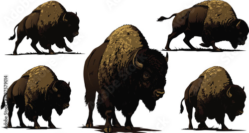 American Bison Collection Illustration on White Background