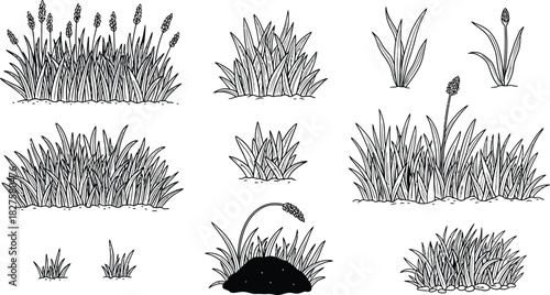 Collection of hand drawn grass clumps in various sizes and shapes
