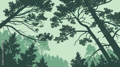 Green forest landscape illustration with tall trees and dense foliage vector background for nature lovers art