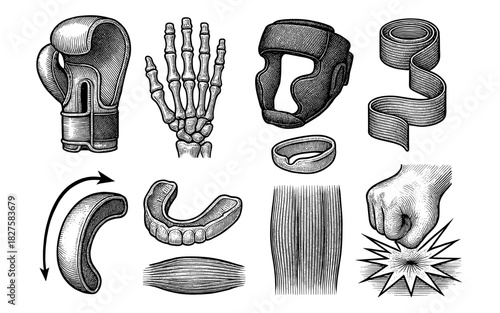 Vintage boxing equipment and anatomy collection with engraved style elements