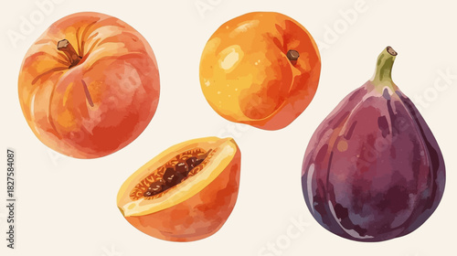 Watercolor illustration showcasing a collection of fresh fruits, including a peach, apricot, papaya, and a fig, perfect for healthy eating.