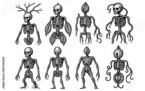Surreal human skeletons with botanical elements: intricate black and white illustrations