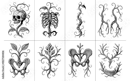 Nature and anatomy fusion: intricate line art of skeleton and plant symbiosis