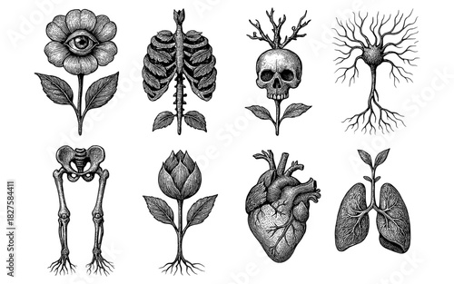Surreal anatomy and nature fusion sketched in monochrome line art for unique designs