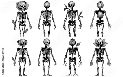 Floral skeletons: surreal botanical anatomy art with blooming skulls